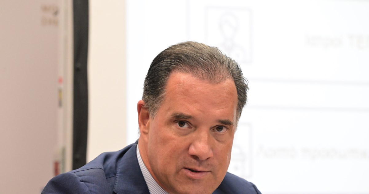 Ο Άδωνις Γεωργιάδης διαψεύδει ότι έχει ανώνυμο λογαριασμό τρολ στο Χ: "Ψεκασμένες ανοησίες" - εικόνα 4