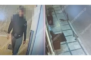 Βόλος: Άνθρωπος της διπλανής πόρτας ο 31χρονος serial killer αδέσποτων ζώων - Έβγαζε φωτό με σκυλάκια - εικόνα 2