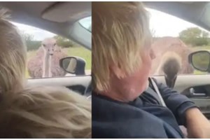 Σε ελληνικό εστιατόριο στο Παρίσι ο Εμανούελ και η Μπριζίτ Μακρόν: Η λέξη στα ελληνικά που ξέρει να λέει ο Γάλλος πρόεδρος - εικόνα 3