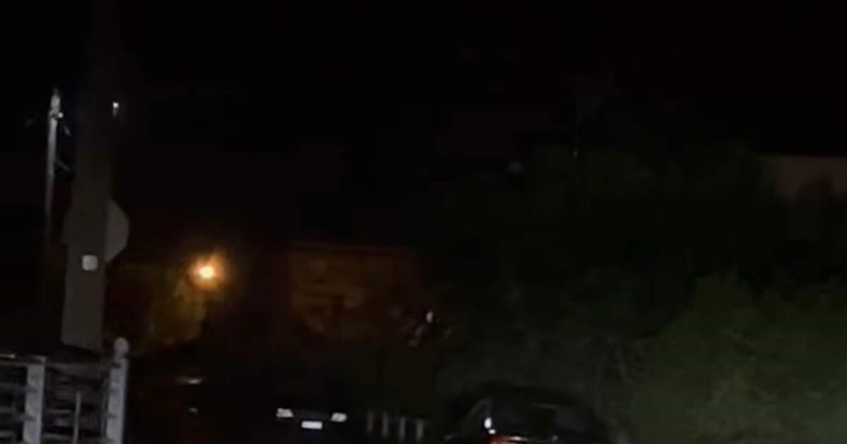 Κοζάνη: Αρκούδα διασχίζει κολυμπώντας τη λίμνη Πολυφύτου [βίντεο]