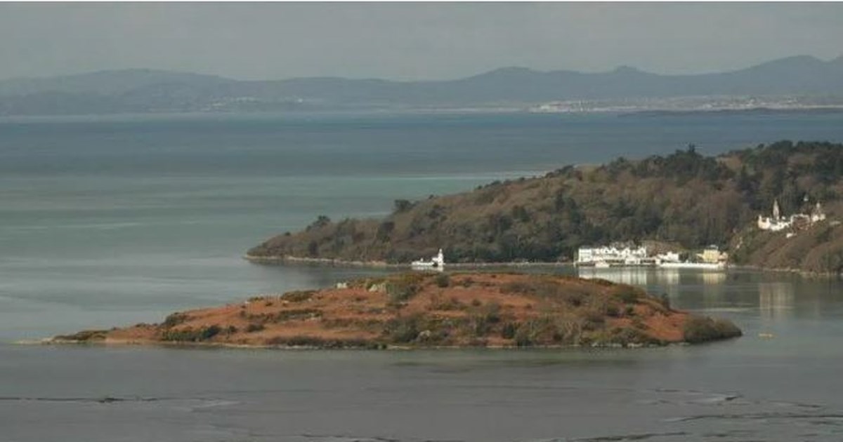 Βάναυσος θάνατος: Food vlogger από τις Φιλιππίνες έφαγε το "καβούρι του διαβόλου" για ένα βίντεο, έπαθε σπασμούς και πέθανε