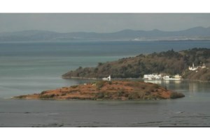 Βάναυσος θάνατος: Food vlogger από τις Φιλιππίνες έφαγε το "καβούρι του διαβόλου" για ένα βίντεο, έπαθε σπασμούς και πέθανε