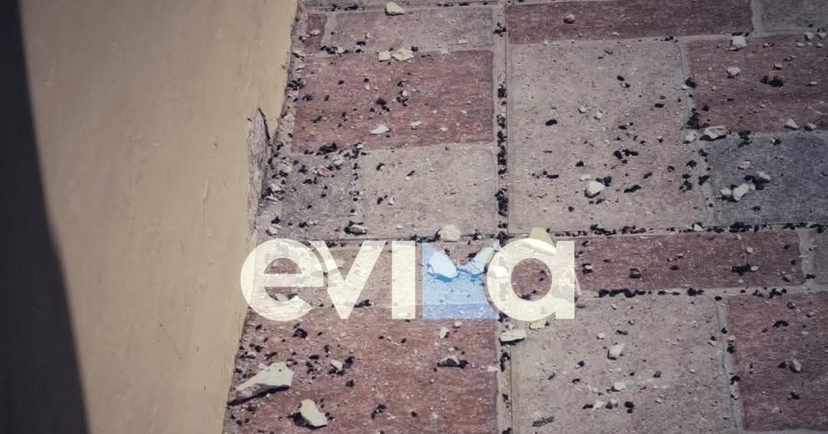 Καθησυχαστικός ο Λέκκας μετά την αυτοψία στην Εύβοια για τους σεισμούς - Διαφωνίες από Τσελέντη, Γ. Παπαδόπουλο και Παπαζάχο - εικόνα 6