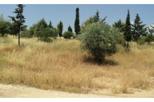 Ακαθάριστα οικόπεδα: Παρατείνεται έως τις 15 Ιουλίου η προθεσμία για την υποβολή των δηλώσεων