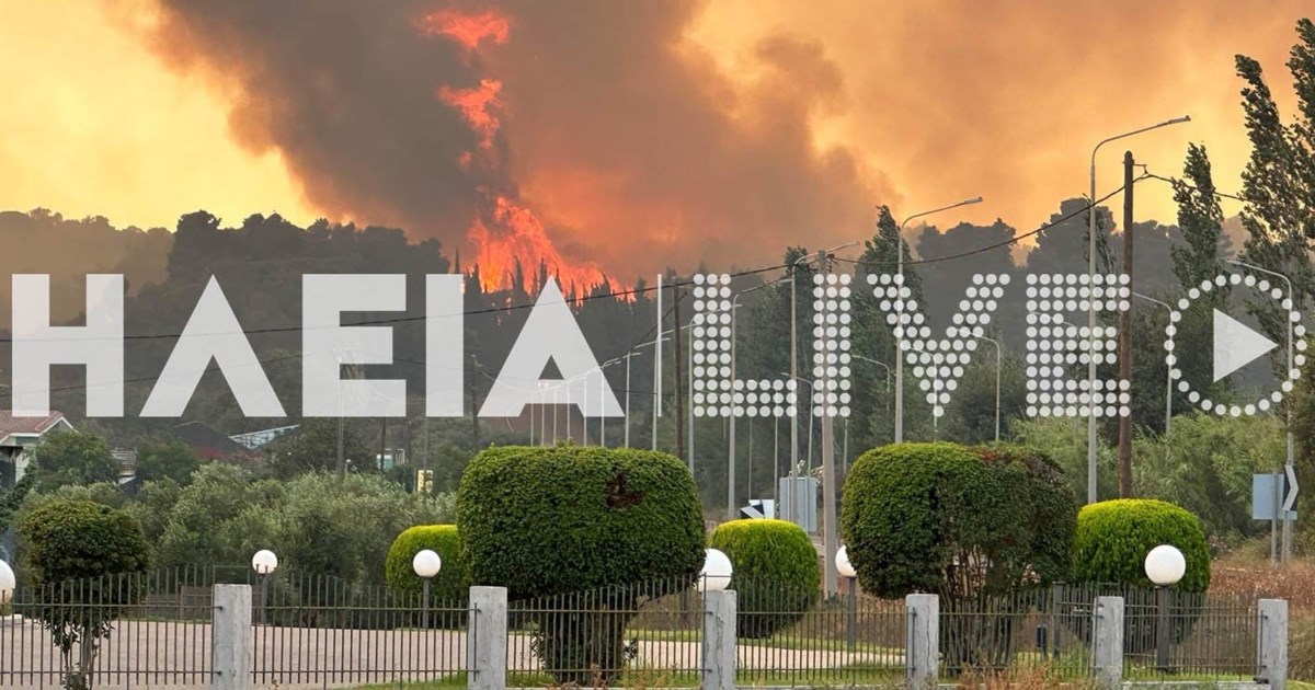Σε δύο μέτωπα η φωτιά στην Ηλεία: Στάλθηκε 112 για εκκένωση μέσα στη νύχτα - Μεγάλος κίνδυνος για πυρκαγιές και σήμερα - εικόνα 4