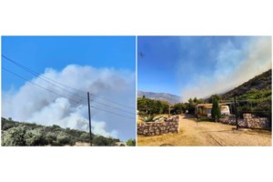 Φωτιά στην Αλεξανδρούπολη: Νέα εστία στο δάσος της Δαδιάς - Μήνυμα 112 για εκκένωση του οικισμού Άβαντα