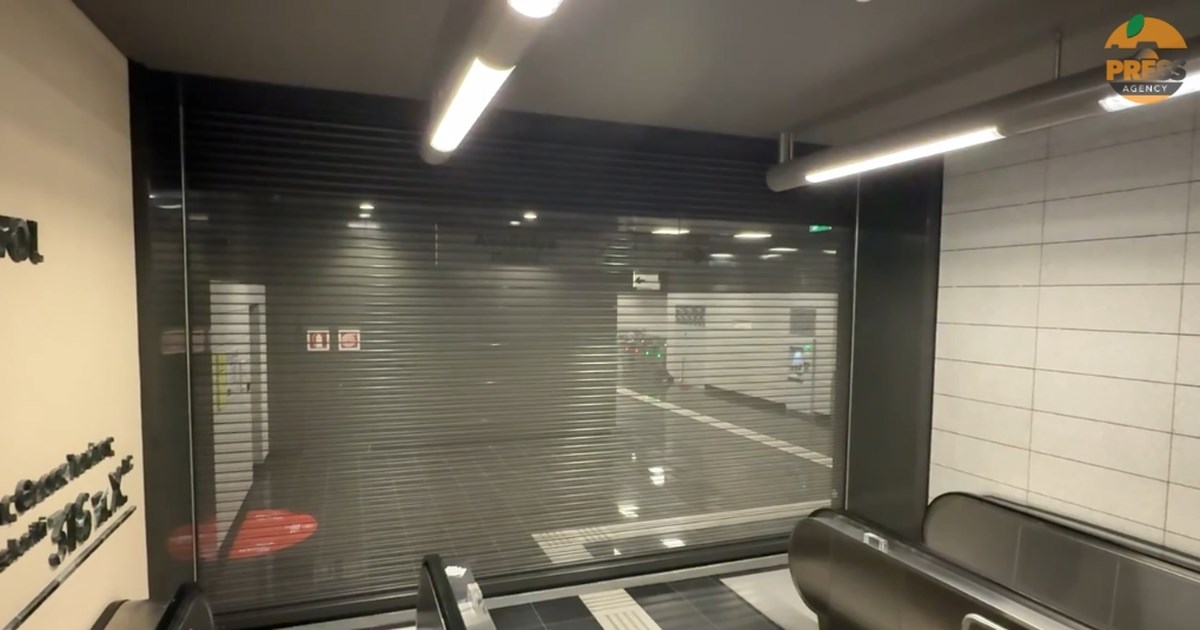 Θεσσαλονίκη: Πτώσεις δέντρων λόγω της κακοκαιρίας – Ζημιές σε σταθμευμένα οχήματα [βίντεο]