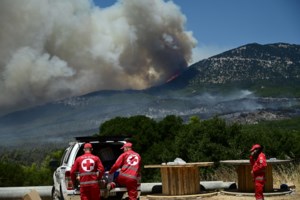 Δύο συλλήψεις για εμπρησμό σε Ραφήνα και Ίλιον Αττικής - Πήγαν να ανάψουν ψησταριές δίπλα σε δασικές εκτάσεις