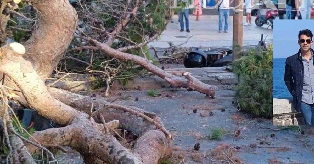 Ηράκλειο: Αποζημίωση 385.000 ευρώ στην οικογένεια του 51χρονου που καταπλακώθηκε από δέντρο