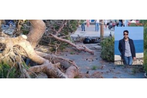 Ηράκλειο: Αποζημίωση 385.000 ευρώ στην οικογένεια του 51χρονου που καταπλακώθηκε από δέντρο