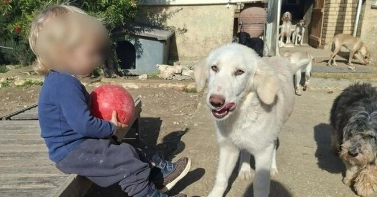 Τραγωδία στην Αλεξανδρούπολη: 3χρονο μεταφέρθηκε νεκρό στο νοσοκομείο από τη μητέρα του - Σχεδόν σκελετωμένο