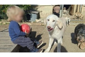 Τραγωδία στην Αλεξανδρούπολη: 3χρονο μεταφέρθηκε νεκρό στο νοσοκομείο από τη μητέρα του - Σχεδόν σκελετωμένο