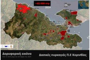 Φωτιά στο Ξυλόκαστρο: Υποπτος για εμπρησμό ο αντιδήμαρχος... Πολιτικής Προστασίας που κάπνιζε τα μελίσσια του - εικόνα 2