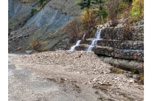 Θεσσαλονίκη: Καταδικάστηκε ο 67χρονος που καταγγέλθηκε για κακοποίηση σκύλου