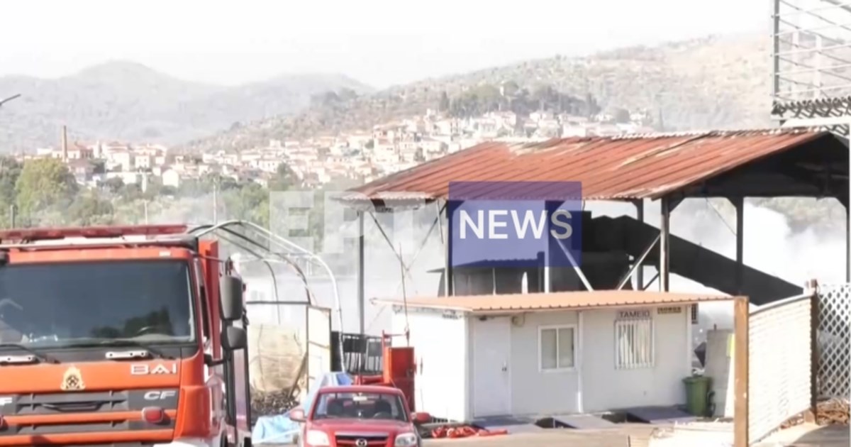 Αναγκαστική προσθαλάσσωση πυροσβεστικού ελικοπτέρου στην Ελευσίνα - Καλά στην υγεία τους οι τρεις επιβαίνοντες