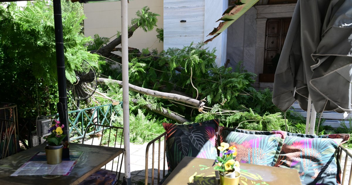 Κακοκαιρία: Πτώση δέντρου στο κέντρο της Αθήνας - Ένας τραυματίας [εικόνες - βίντεο] - εικόνα 5