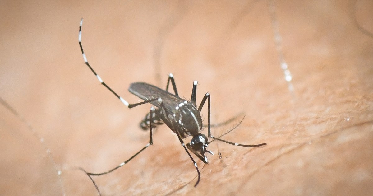 ΔΕΔΔΗΕ: Χωρίς ρεύμα λόγω βλάβης Καλλιθέα, Ρέντης και γειτονιές του Πειραιά