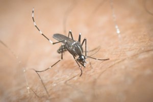 ΔΕΔΔΗΕ: Χωρίς ρεύμα λόγω βλάβης Καλλιθέα, Ρέντης και γειτονιές του Πειραιά