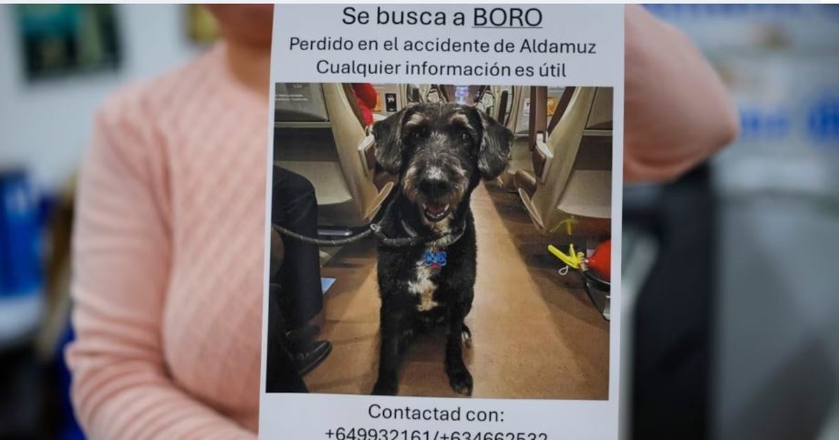 Σοκ στην Ισπανία: Βρετανίδα μητέρα 3 παιδιών μαχαιρώθηκε μέχρι θανάτου από τον πρώην της μπροστά στα μάτια τους