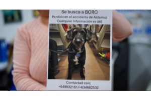 Σοκ στην Ισπανία: Βρετανίδα μητέρα 3 παιδιών μαχαιρώθηκε μέχρι θανάτου από τον πρώην της μπροστά στα μάτια τους