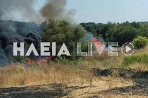 Ηλεία: Ηλικιωμένος ανασύρθηκε χωρίς τις αισθήσεις του από τη θάλασσα