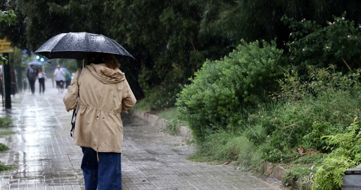 "Με αλκυονίδες ημέρες θα υποδεχτούμε τον Φλεβάρη" - Πρόγνωση Τσατραφύλλια για ηλιοφάνεια και άνοδο της θερμοκρασίας