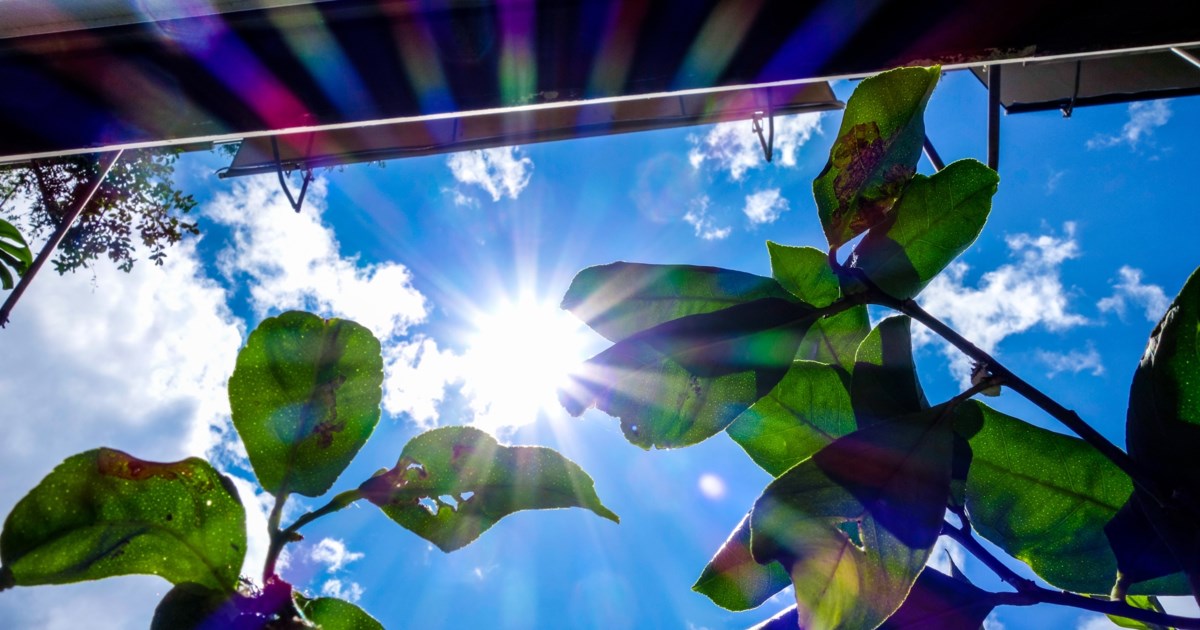 Πρόγνωση καιρού: Με 30άρια και σκόνη το επόμενο δεκαήμερο - Ερχεται μίνι καλοκαίρι από το Σαββατοκύριακο