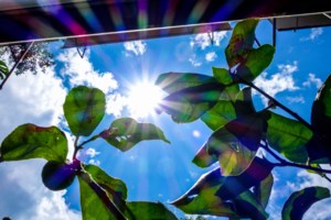 Πρόγνωση καιρού: Με 30άρια και σκόνη το επόμενο δεκαήμερο - Ερχεται μίνι καλοκαίρι από το Σαββατοκύριακο