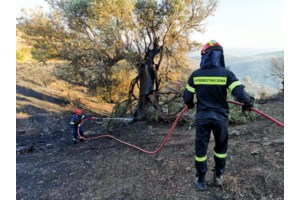 Προφυλακίστηκε ο 33χρονος Τούρκος που κατηγορείται για εμπρησμό στην Περιφερειακή Αιγάλεω