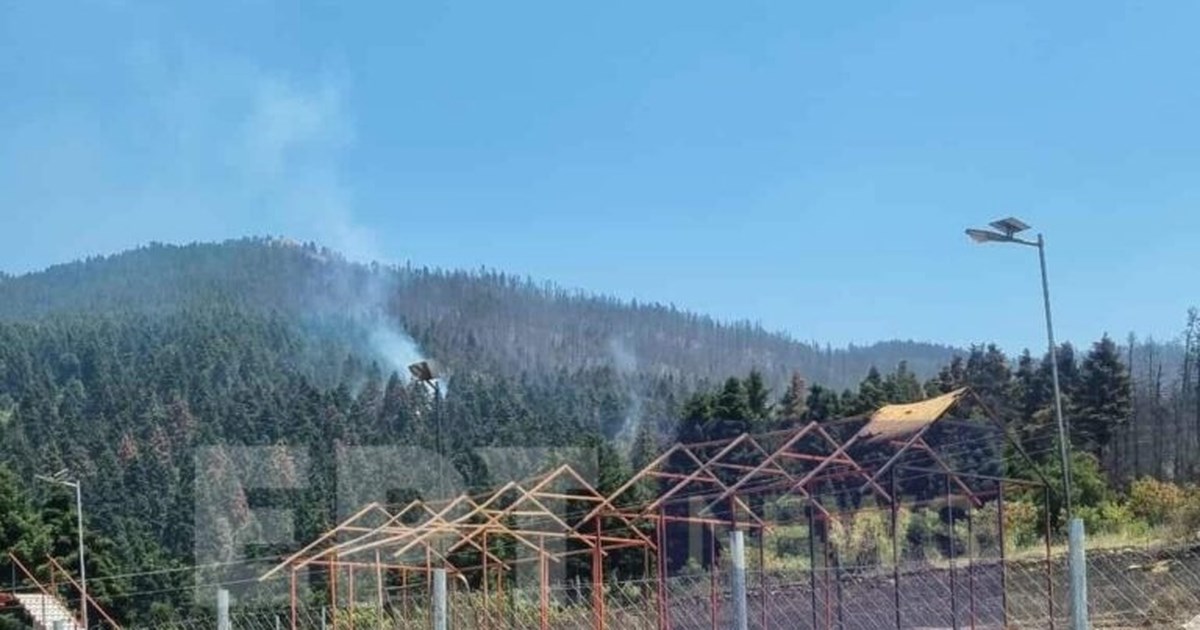 Φωτιά στο Φενεό Κορινθίας: Δίωξη για κακούργημα για τους δυο συλληφθέντες - εικόνα 3