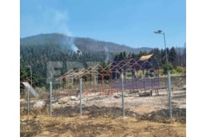 Φωτιά στο Φενεό Κορινθίας: Δίωξη για κακούργημα για τους δυο συλληφθέντες - εικόνα 3