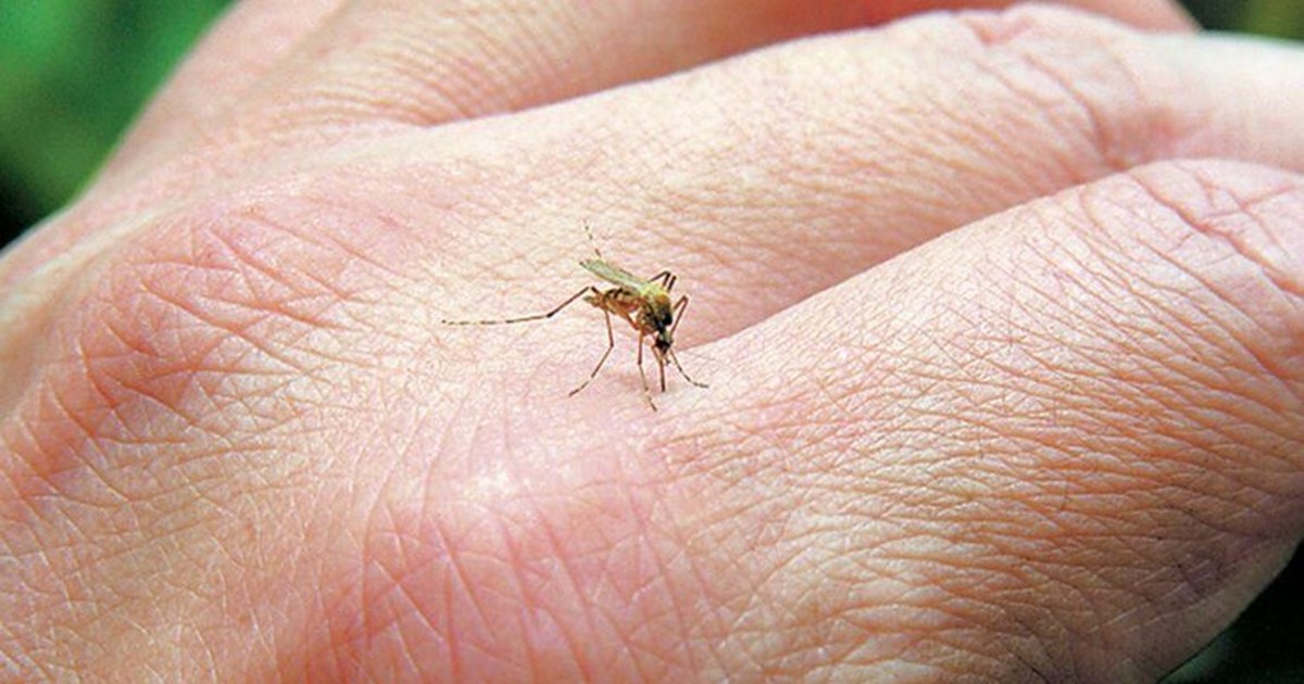 Περιφέρεια Αττικής: Ανακατασκευάζεται και επεκτείνεται το θέατρο "Το Τρένο στο Ρουφ"