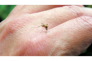 Περιφέρεια Αττικής: Ανακατασκευάζεται και επεκτείνεται το θέατρο "Το Τρένο στο Ρουφ"