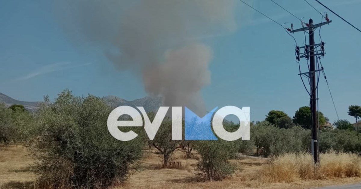 Φωτιά σε δασική έκταση στη Νάξο: Σηκώθηκαν 2 αεροσκάφη και 1 ελικόπτερο