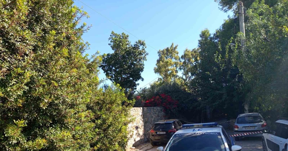 Μαρκόπουλο: Προφυλακιστέος ο 19χρονος για τον θανάσιμο τραυματισμό του 5χρονου αγοριού - εικόνα 4