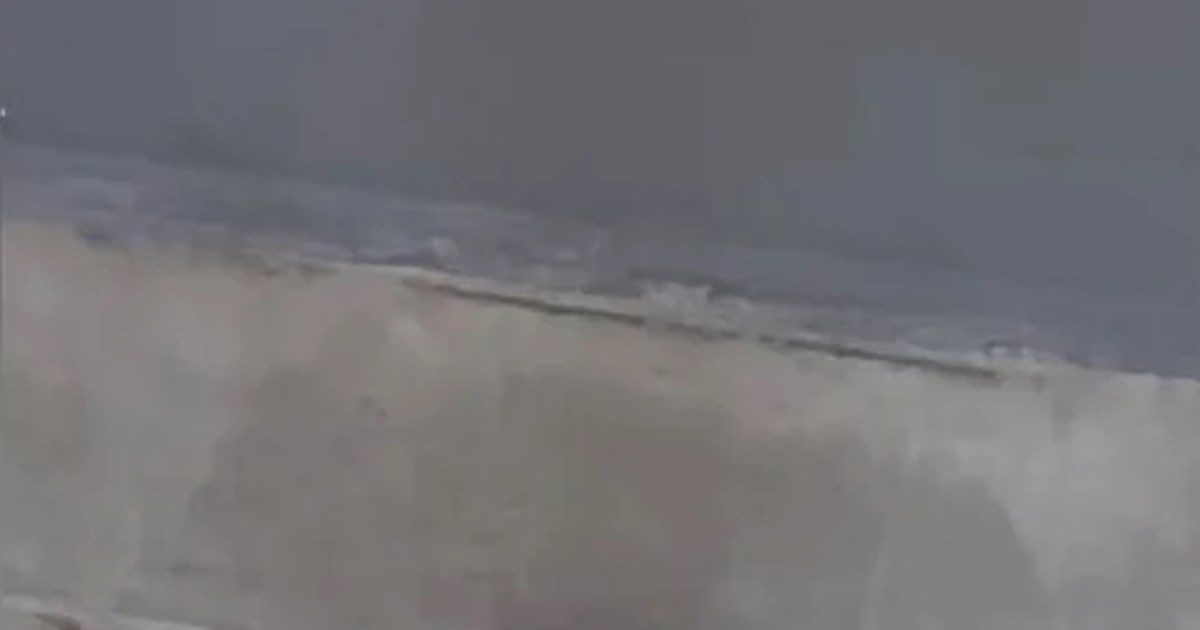 Βόλος: Οδηγός είδε φίδι στο παρμπρίζ του αυτοκινήτου [βίντεο]