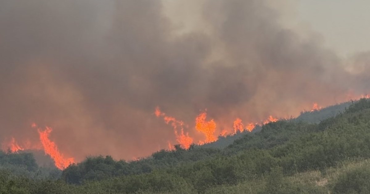 Καταβλήθηκαν οι αποζημιώσεις στους πληγέντες από την πυρκαγιά στο Κρυονέρι Αττικής τον φετινό Ιούλιο