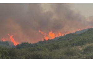 Φωτιά στη Φθιώτιδα: Καίει δασική έκταση στην περιοχή Κομποτάδες - Σηκώθηκαν 4 εναέρια μέσα για την κατάσβεση