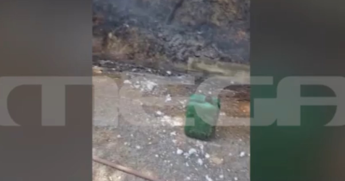 Συναγερμός στην Πανεπιστημιούπολη: Βρέθηκαν θαμμένα στρατιωτικά εκρηκτικά και φυσίγγια