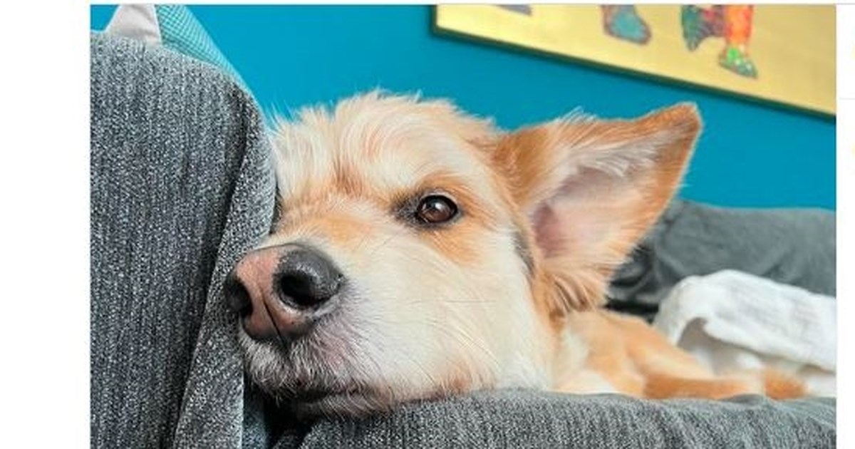 Η τρυφερή ανάρτηση της Δανάης Μιχαλάκη για την κόρη της με τον Γιώργο Παπαγεωργίου που έγινε ενός έτους