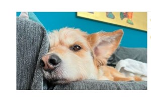 Η τρυφερή ανάρτηση της Δανάης Μιχαλάκη για την κόρη της με τον Γιώργο Παπαγεωργίου που έγινε ενός έτους