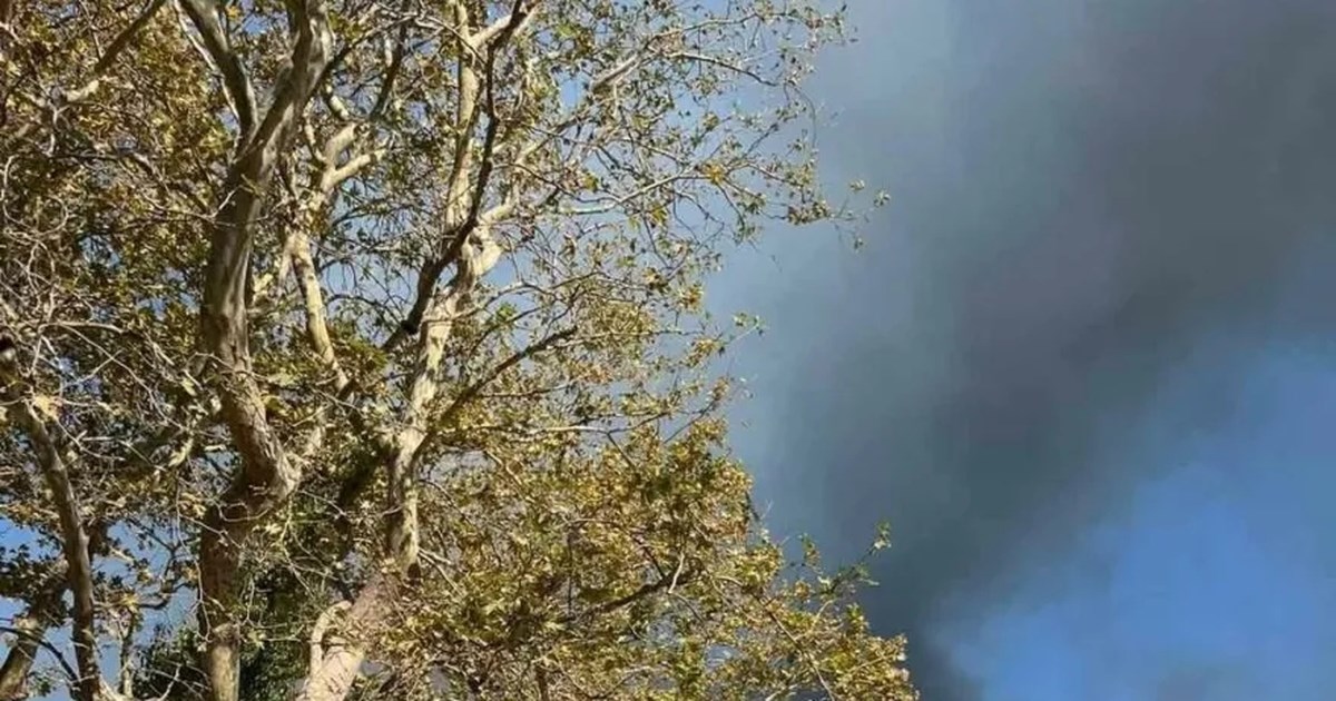 Φωτιά στη Στεφάνη Πρέβεζας - Συμμετέχουν εναέρια στην κατάσβεση