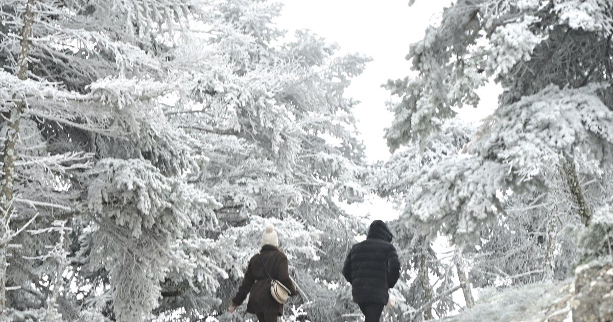 Κακοκαιρία: Ο λόγος που τοποθετούν νάιλον και σακιά σε σχάρες στον δρόμο - Τι βρίσκεται κάτω από το πεζοδρόμιο