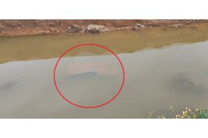 Θρίλερ στη Νέα Πέραμο: Πτώμα νεαρού άνδρα εντοπίστηκε μέσα σε ρέμα - Έρευνα του Τμήματος Ανθρωποκτονιών