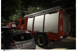 Μυτιλήνη: Υπό έλεγχο η πυρκαγιά στην περιοχή της Βρισάς και του Πολυχνίτου