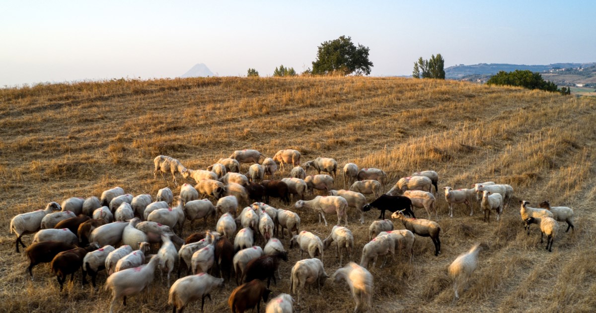 Εξεταστική για ΟΠΕΚΕΠΕ: Κόντρα Μ. Λαζαρίδη - Μ. Αποστολάκη - "Γελάει ο κόσμος" - "Να μη δουλευόμαστε"