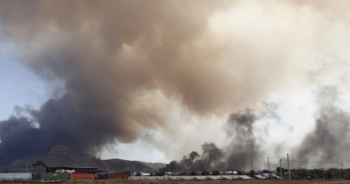 Νέα αναζωπύρωση στα Βάγια Βοιωτίας - Άνεμοι 7 μποφόρ στην περιοχή