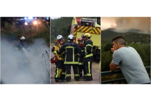 Φωτιές σε Γαλλία και Ισπανία: Αποκαρδιωτικές εικόνες από την πύρινη κόλαση - Ελάφια και άλογα τρέχουν να σωθούν - εικόνα 8