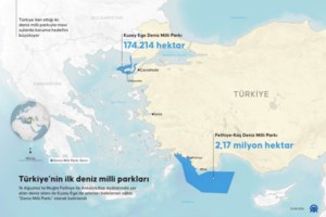 Τουρκία: Αν γίνει βάση drone στη Ρόδο, θα βλάψει την ειρήνη και τη σταθερότητα στο Αιγαίο - Θετικό η μεταφορά των Patriot - εικόνα 2
