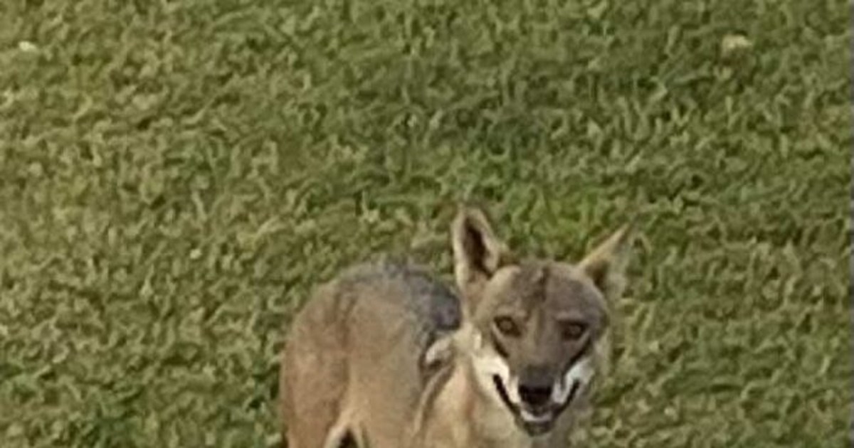 Χαλκιδική: Εντυπωσιακός υδροστρόβιλος καταγράφηκε στην Ουρανούπολη [βίντεο]